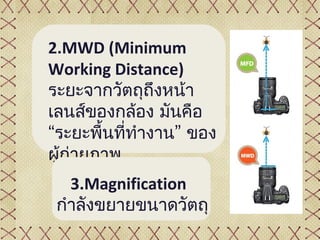 2.MWD (Minimum
Working Distance)
ระยะจากวัตถุถึงหน้า
เลนส์ของกล้อง มันคือ
“ระยะพื้นที่ทำางาน” ของ
ผู้ถ่ายภาพ
   3.Magnification
 กำาลังขยายขนาดวัตถุ
 