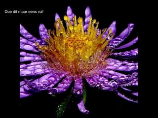 Doe dit maar eens na!
 