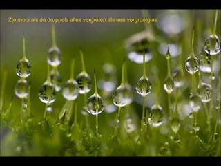 Z|o mooi als de druppels alles vergroten als een vergrootglas
 