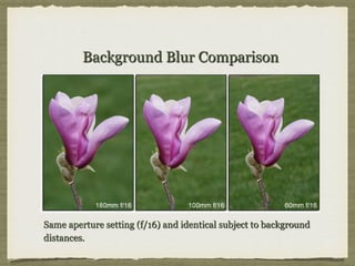 Background Blur Comparison

Same aperture setting (f/16) and identical subject to background
distances.

 