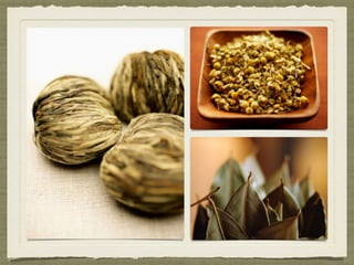 Session 12 Macro photography