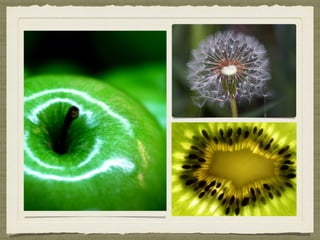 Session 12 Macro photography