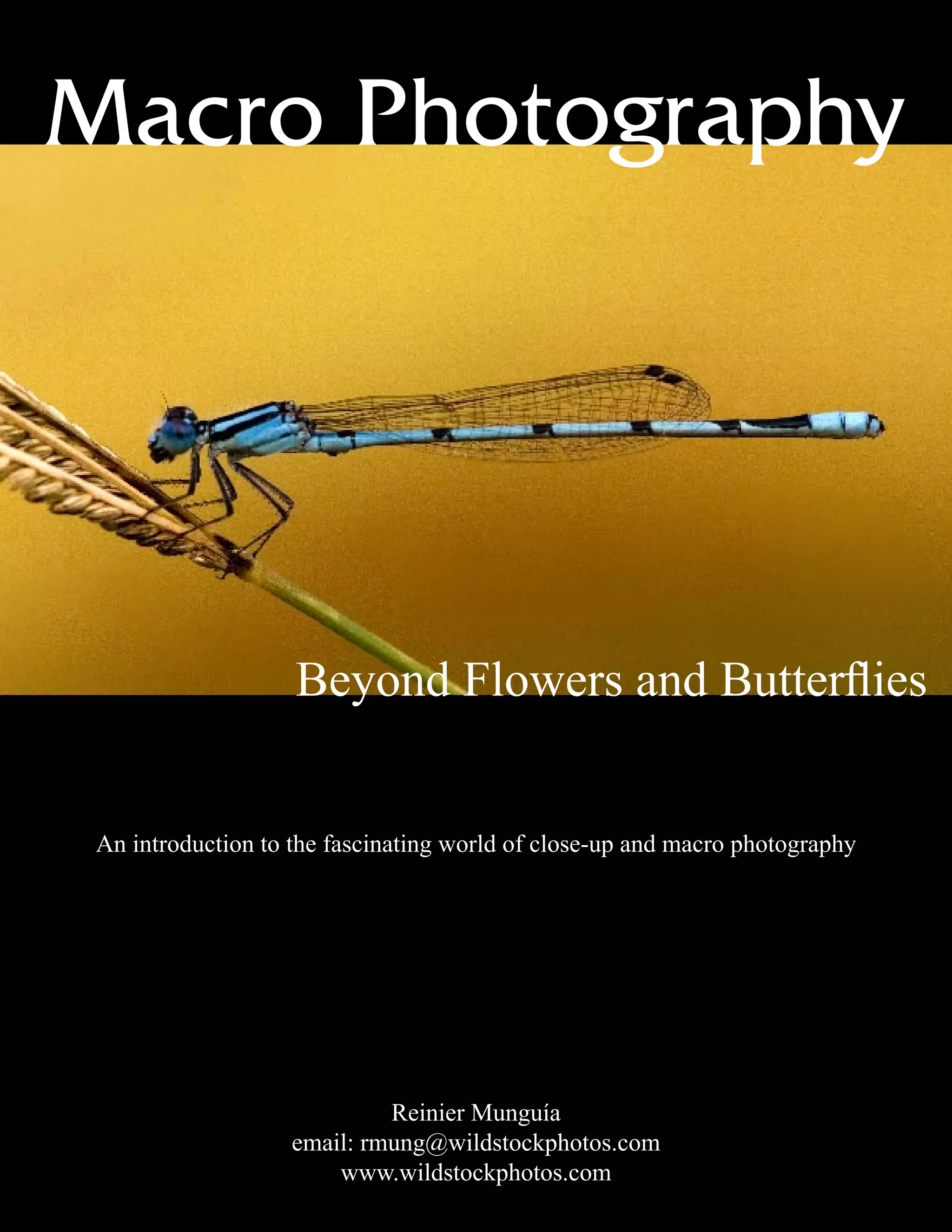 Macro Photography
Beyond Flowers and Butterflies
An introduction to the fascinating world of close-up and macro photography
Reinier Munguía
email: rmung@wildstockphotos.com
www.wildstockphotos.com
 