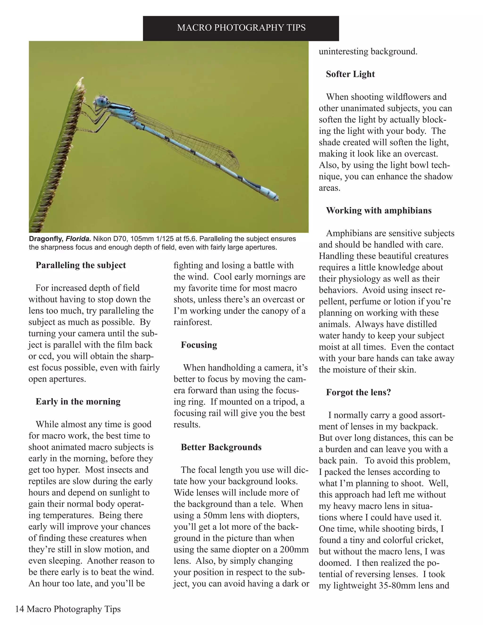 14 Macro Photography Tips
INTRODUCTIONMACRO PHOTOGRAPHY TIPS
Paralleling the subject
For increased depth of field
without having to stop down the
lens too much, try paralleling the
subject as much as possible. By
turning your camera until the sub-
ject is parallel with the film back
or ccd, you will obtain the sharp-
est focus possible, even with fairly
open apertures.
Early in the morning
While almost any time is good
for macro work, the best time to
shoot animated macro subjects is
early in the morning, before they
get too hyper. Most insects and
reptiles are slow during the early
hours and depend on sunlight to
gain their normal body operat-
ing temperatures. Being there
early will improve your chances
of finding these creatures when
they’re still in slow motion, and
even sleeping. Another reason to
be there early is to beat the wind.
An hour too late, and you’ll be
fighting and losing a battle with
the wind. Cool early mornings are
my favorite time for most macro
shots, unless there’s an overcast or
I’m working under the canopy of a
rainforest.
Focusing
When handholding a camera, it’s
better to focus by moving the cam-
era forward than using the focus-
ing ring. If mounted on a tripod, a
focusing rail will give you the best
results.
Better Backgrounds
The focal length you use will dic-
tate how your background looks.
Wide lenses will include more of
the background than a tele. When
using a 50mm lens with diopters,
you’ll get a lot more of the back-
ground in the picture than when
using the same diopter on a 200mm
lens. Also, by simply changing
your position in respect to the sub-
ject, you can avoid having a dark or
uninteresting background.
Softer Light
When shooting wildflowers and
other unanimated subjects, you can
soften the light by actually block-
ing the light with your body. The
shade created will soften the light,
making it look like an overcast.
Also, by using the light bowl tech-
nique, you can enhance the shadow
areas.
Working with amphibians
Amphibians are sensitive subjects
and should be handled with care.
Handling these beautiful creatures
requires a little knowledge about
their physiology as well as their
behaviors. Avoid using insect re-
pellent, perfume or lotion if you’re
planning on working with these
animals. Always have distilled
water handy to keep your subject
moist at all times. Even the contact
with your bare hands can take away
the moisture of their skin.
Forgot the lens?
I normally carry a good assort-
ment of lenses in my backpack.
But over long distances, this can be
a burden and can leave you with a
back pain. To avoid this problem,
I packed the lenses according to
what I’m planning to shoot. Well,
this approach had left me without
my heavy macro lens in situa-
tions where I could have used it.
One time, while shooting birds, I
found a tiny and colorful cricket,
but without the macro lens, I was
doomed. I then realized the po-
tential of reversing lenses. I took
my lightweight 35-80mm lens and
Dragonfly, Florida. Nikon D70, 105mm 1/125 at f5.6. Paralleling the subject ensures
the sharpness focus and enough depth of field, even with fairly large apertures.
 