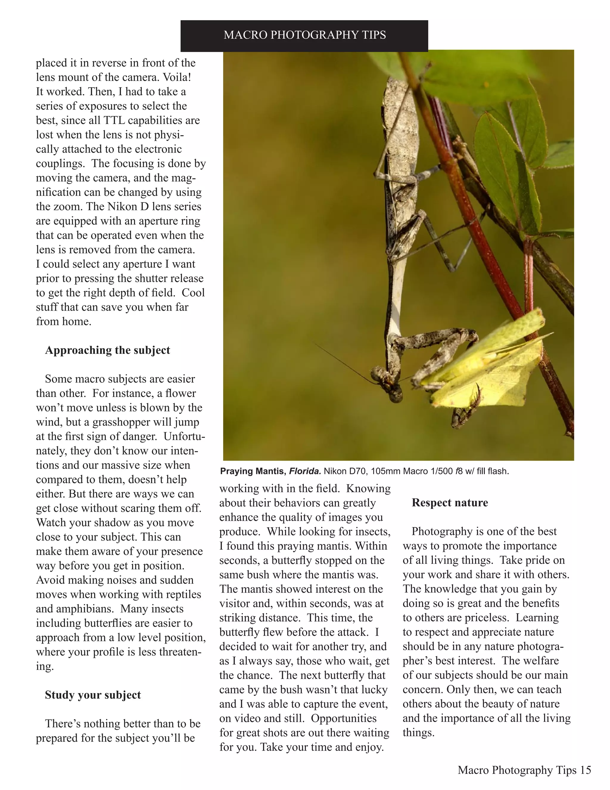 Macro Photography Tips 15
placed it in reverse in front of the
lens mount of the camera. Voila!
It worked. Then, I had to take a
series of exposures to select the
best, since all TTL capabilities are
lost when the lens is not physi-
cally attached to the electronic
couplings. The focusing is done by
moving the camera, and the mag-
nification can be changed by using
the zoom. The Nikon D lens series
are equipped with an aperture ring
that can be operated even when the
lens is removed from the camera.
I could select any aperture I want
prior to pressing the shutter release
to get the right depth of field. Cool
stuff that can save you when far
from home.
Approaching the subject
Some macro subjects are easier
than other. For instance, a flower
won’t move unless is blown by the
wind, but a grasshopper will jump
at the first sign of danger. Unfortu-
nately, they don’t know our inten-
tions and our massive size when
compared to them, doesn’t help
either. But there are ways we can
get close without scaring them off.
Watch your shadow as you move
close to your subject. This can
make them aware of your presence
way before you get in position.
Avoid making noises and sudden
moves when working with reptiles
and amphibians. Many insects
including butterflies are easier to
approach from a low level position,
where your profile is less threaten-
ing.
Study your subject
There’s nothing better than to be
prepared for the subject you’ll be
working with in the field. Knowing
about their behaviors can greatly
enhance the quality of images you
produce. While looking for insects,
I found this praying mantis. Within
seconds, a butterfly stopped on the
same bush where the mantis was.
The mantis showed interest on the
visitor and, within seconds, was at
striking distance. This time, the
butterfly flew before the attack. I
decided to wait for another try, and
as I always say, those who wait, get
the chance. The next butterfly that
came by the bush wasn’t that lucky
and I was able to capture the event,
on video and still. Opportunities
for great shots are out there waiting
for you. Take your time and enjoy.
Respect nature
Photography is one of the best
ways to promote the importance
of all living things. Take pride on
your work and share it with others.
The knowledge that you gain by
doing so is great and the benefits
to others are priceless. Learning
to respect and appreciate nature
should be in any nature photogra-
pher’s best interest. The welfare
of our subjects should be our main
concern. Only then, we can teach
others about the beauty of nature
and the importance of all the living
things.
MACRO PHOTOGRAPHY TIPS
Praying Mantis, Florida. Nikon D70, 105mm Macro 1/500 f8 w/ fill flash.
 