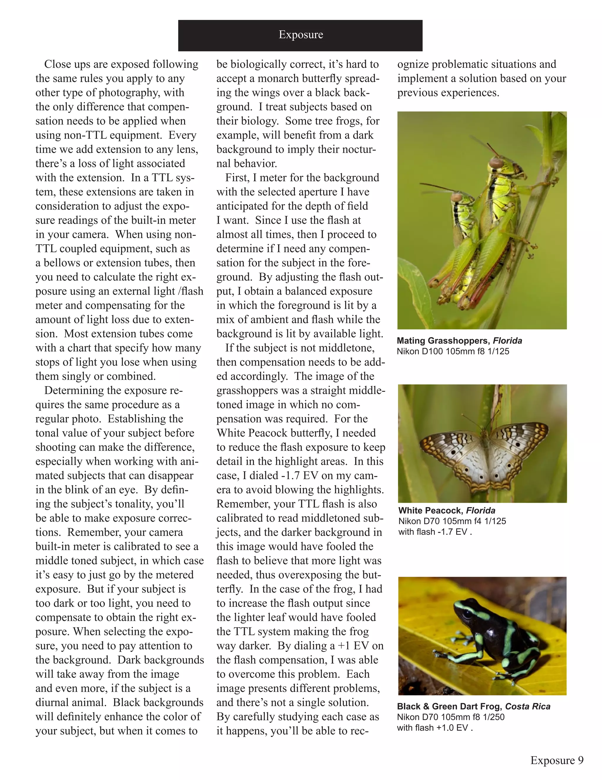 Exposure 9
Exposure
Close ups are exposed following
the same rules you apply to any
other type of photography, with
the only difference that compen-
sation needs to be applied when
using non-TTL equipment. Every
time we add extension to any lens,
there’s a loss of light associated
with the extension. In a TTL sys-
tem, these extensions are taken in
consideration to adjust the expo-
sure readings of the built-in meter
in your camera. When using non-
TTL coupled equipment, such as
a bellows or extension tubes, then
you need to calculate the right ex-
posure using an external light /flash
meter and compensating for the
amount of light loss due to exten-
sion. Most extension tubes come
with a chart that specify how many
stops of light you lose when using
them singly or combined.
Determining the exposure re-
quires the same procedure as a
regular photo. Establishing the
tonal value of your subject before
shooting can make the difference,
especially when working with ani-
mated subjects that can disappear
in the blink of an eye. By defin-
ing the subject’s tonality, you’ll
be able to make exposure correc-
tions. Remember, your camera
built-in meter is calibrated to see a
middle toned subject, in which case
it’s easy to just go by the metered
exposure. But if your subject is
too dark or too light, you need to
compensate to obtain the right ex-
posure. When selecting the expo-
sure, you need to pay attention to
the background. Dark backgrounds
will take away from the image
and even more, if the subject is a
diurnal animal. Black backgrounds
will definitely enhance the color of
your subject, but when it comes to
be biologically correct, it’s hard to
accept a monarch butterfly spread-
ing the wings over a black back-
ground. I treat subjects based on
their biology. Some tree frogs, for
example, will benefit from a dark
background to imply their noctur-
nal behavior.
First, I meter for the background
with the selected aperture I have
anticipated for the depth of field
I want. Since I use the flash at
almost all times, then I proceed to
determine if I need any compen-
sation for the subject in the fore-
ground. By adjusting the flash out-
put, I obtain a balanced exposure
in which the foreground is lit by a
mix of ambient and flash while the
background is lit by available light.
If the subject is not middletone,
then compensation needs to be add-
ed accordingly. The image of the
grasshoppers was a straight middle-
toned image in which no com-
pensation was required. For the
White Peacock butterfly, I needed
to reduce the flash exposure to keep
detail in the highlight areas. In this
case, I dialed -1.7 EV on my cam-
era to avoid blowing the highlights.
Remember, your TTL flash is also
calibrated to read middletoned sub-
jects, and the darker background in
this image would have fooled the
flash to believe that more light was
needed, thus overexposing the but-
terfly. In the case of the frog, I had
to increase the flash output since
the lighter leaf would have fooled
the TTL system making the frog
way darker. By dialing a +1 EV on
the flash compensation, I was able
to overcome this problem. Each
image presents different problems,
and there’s not a single solution.
By carefully studying each case as
it happens, you’ll be able to rec-
ognize problematic situations and
implement a solution based on your
previous experiences.
Mating Grasshoppers, Florida
Nikon D100 105mm f8 1/125
White Peacock, Florida
Nikon D70 105mm f4 1/125
with flash -1.7 EV .
Black & Green Dart Frog, Costa Rica
Nikon D70 105mm f8 1/250
with flash +1.0 EV .
 
