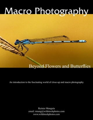 Macro Photography
Beyond Flowers and Butterflies
An introduction to the fascinating world of close-up and macro photography
Reinier Munguía
email: rmung@wildstockphotos.com
www.wildstockphotos.com
 