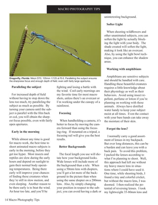 14 Macro Photography Tips
INTRODUCTIONMACRO PHOTOGRAPHY TIPS
Paralleling the subject
For increased depth of field
without having to stop down the
lens too much, try paralleling the
subject as much as possible. By
turning your camera until the sub-
ject is parallel with the film back
or ccd, you will obtain the sharp-
est focus possible, even with fairly
open apertures.
Early in the morning
While almost any time is good
for macro work, the best time to
shoot animated macro subjects is
early in the morning, before they
get too hyper. Most insects and
reptiles are slow during the early
hours and depend on sunlight to
gain their normal body operat-
ing temperatures. Being there
early will improve your chances
of finding these creatures when
they’re still in slow motion, and
even sleeping. Another reason to
be there early is to beat the wind.
An hour too late, and you’ll be
fighting and losing a battle with
the wind. Cool early mornings are
my favorite time for most macro
shots, unless there’s an overcast or
I’m working under the canopy of a
rainforest.
Focusing
When handholding a camera, it’s
better to focus by moving the cam-
era forward than using the focus-
ing ring. If mounted on a tripod, a
focusing rail will give you the best
results.
Better Backgrounds
The focal length you use will dic-
tate how your background looks.
Wide lenses will include more of
the background than a tele. When
using a 50mm lens with diopters,
you’ll get a lot more of the back-
ground in the picture than when
using the same diopter on a 200mm
lens. Also, by simply changing
your position in respect to the sub-
ject, you can avoid having a dark or
uninteresting background.
Softer Light
When shooting wildflowers and
other unanimated subjects, you can
soften the light by actually block-
ing the light with your body. The
shade created will soften the light,
making it look like an overcast.
Also, by using the light bowl tech-
nique, you can enhance the shadow
areas.
Working with amphibians
Amphibians are sensitive subjects
and should be handled with care.
Handling these beautiful creatures
requires a little knowledge about
their physiology as well as their
behaviors. Avoid using insect re-
pellent, perfume or lotion if you’re
planning on working with these
animals. Always have distilled
water handy to keep your subject
moist at all times. Even the contact
with your bare hands can take away
the moisture of their skin.
Forgot the lens?
I normally carry a good assort-
ment of lenses in my backpack.
But over long distances, this can be
a burden and can leave you with a
back pain. To avoid this problem,
I packed the lenses according to
what I’m planning to shoot. Well,
this approach had left me without
my heavy macro lens in situa-
tions where I could have used it.
One time, while shooting birds, I
found a tiny and colorful cricket,
but without the macro lens, I was
doomed. I then realized the po-
tential of reversing lenses. I took
my lightweight 35-80mm lens and
Dragonfly, Florida. Nikon D70, 105mm 1/125 at f5.6. Paralleling the subject ensures
the sharpness focus and enough depth of field, even with fairly large apertures.
 