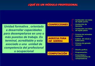 • Confección con telas
                                                 de tejido punto.

                                CONFECCIONES   • Confección de
Unidad formativa , orientada                     lencería.
                                               • Confección con telas
  a desarrollar capacidades                      de tejido plano

para desempeñarse en uno o                     • Crianza de animales
                                                 menores.
 más puestos de trabajo. Es     AGRICULTURA    • Cultivo de raíces y
 terminal, acreditable y esta   DE SIERRA        tubérculos.
                                               • Crianza de ganado
  asociado a una unidad de                       vacuno

competencia del profesional
                                               • Diseño grafico.
        u ocupacional                          • Programación.
                                COMPUTACIÓN
                                               • Ensamblaje y
                                                 mantenimiento de
                                                 computadoras
 