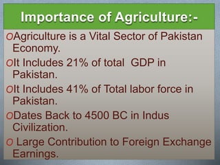 Agriculture of pakistan | PPTX