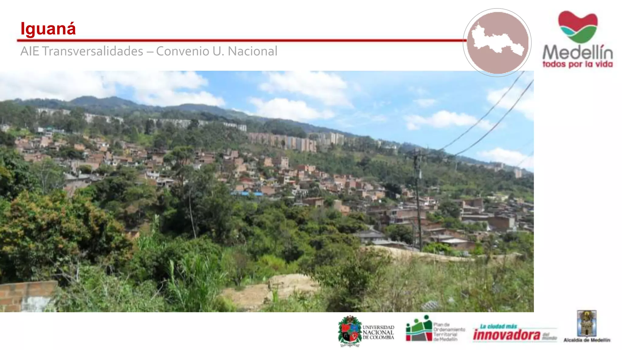 Iguaná 
AIE Transversalidades – Convenio U. Nacional 
 