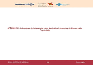 125
APÊNDICE H - Indicadores de Infraestrutura dos Municípios Integrantes da Macrorregião
Foz do Itajaí
 