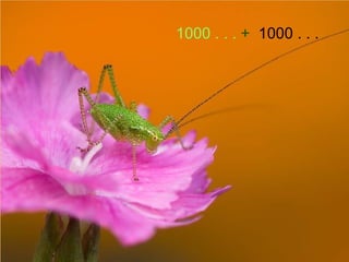 1000 . . .  +   1000 . . . 