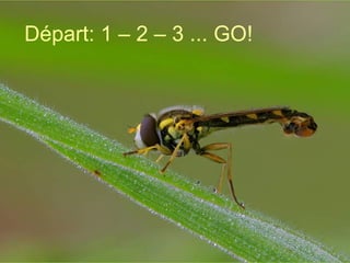 Départ: 1 – 2 – 3 ... GO! 