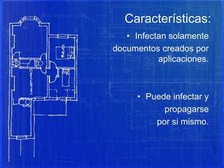 Características:
• Infectan solamente
documentos creados por
aplicaciones.
• Puede infectar y
propagarse
por si mismo.
 
