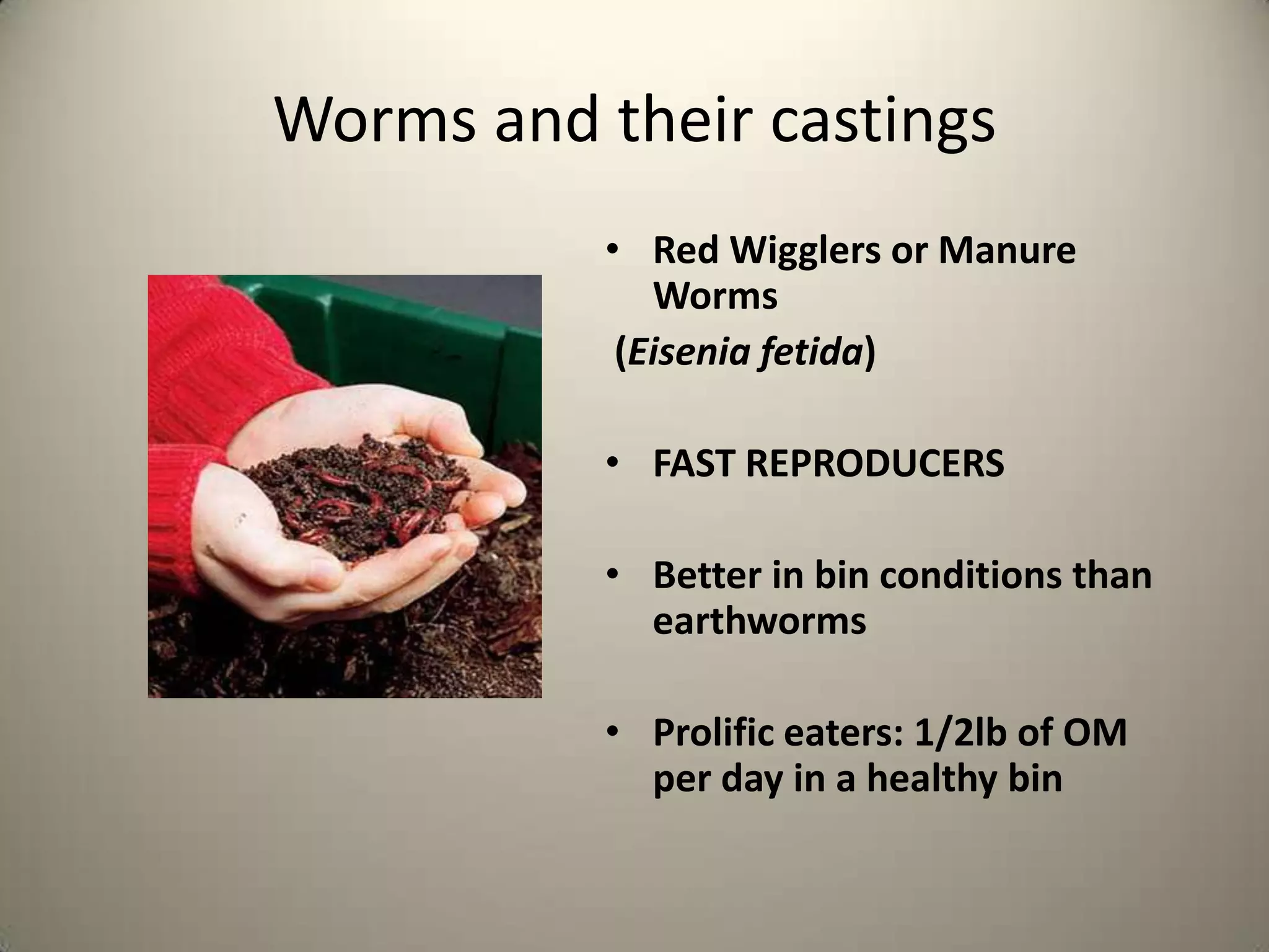 Worms and their castings
           • Red Wigglers or Manure
              Worms
            (Eisenia fetida)

           • FAST REPRODUCERS

           • Better in bin conditions than
             earthworms

           • Prolific eaters: 1/2lb of OM
             per day in a healthy bin
 