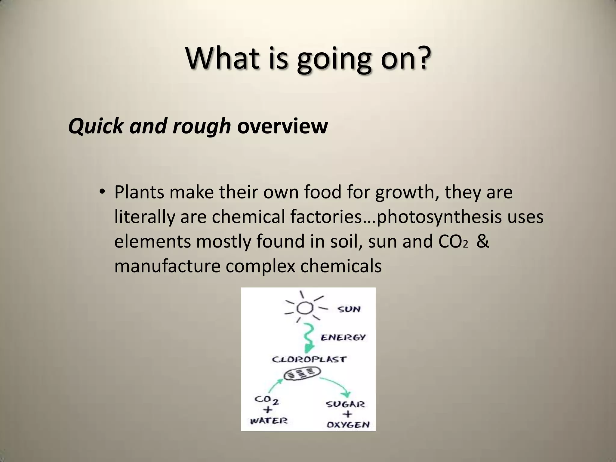 What is going on?
Quick and rough overview

  • Plants make their own food for growth, they are
    literally are chemical factories…photosynthesis uses
    elements mostly found in soil, sun and CO2 &
    manufacture complex chemicals
 