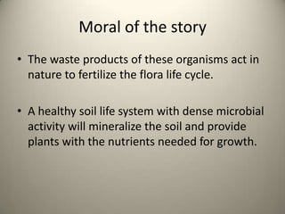 Moral of the story
• The waste products of these organisms act in
  nature to fertilize the flora life cycle.

• A healthy soil life system with dense microbial
  activity will mineralize the soil and provide
  plants with the nutrients needed for growth.
 