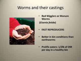 Worms and their castings
           • Red Wigglers or Manure
              Worms
            (Eisenia fetida)

           • FAST REPRODUCERS

           • Better in bin conditions than
             earthworms

           • Prolific eaters: 1/2lb of OM
             per day in a healthy bin
 