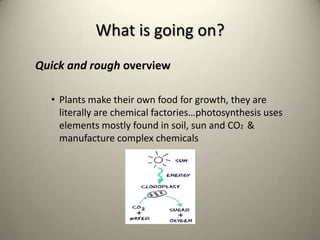 What is going on?
Quick and rough overview

  • Plants make their own food for growth, they are
    literally are chemical factories…photosynthesis uses
    elements mostly found in soil, sun and CO2 &
    manufacture complex chemicals
 