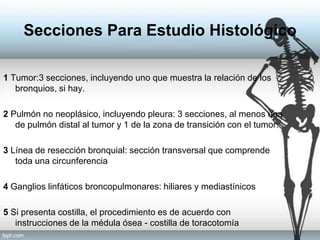 Secciones Para Estudio Histológico
1 Tumor:3 secciones, incluyendo uno que muestra la relación de los
bronquios, si hay.
2 Pulmón no neoplásico, incluyendo pleura: 3 secciones, al menos una
de pulmón distal al tumor y 1 de la zona de transición con el tumor.
3 Línea de resección bronquial: sección transversal que comprende
toda una circunferencia
4 Ganglios linfáticos broncopulmonares: hiliares y mediastínicos
5 Si presenta costilla, el procedimiento es de acuerdo con
instrucciones de la médula ósea - costilla de toracotomía
 