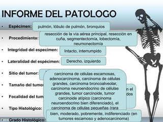 • Espécimen:
• Procedimiento:
• Integridad del especimen:
• Lateralidad del espécimen:
• Sitio del tumor:
• Tamaño del tumor:
• Focalidad del tumor:
• Tipo Histológico:
• Grado Histológico:
INFORME DEL PATOLOGO
pulmón, lóbulo de pulmón, bronquios
resección de la vía aérea principal, resección en
cuña, segmentectomía, lobectomía,
neumonectomía
Intacto, interrumpido
Derecho, izquierdo
lóbulo superior, lóbulo medio,
lóbulo inferior.
su dimensión mayor (dimensiones
adicionales opcional)unifocal, nódulos tumorales separados en el
mismo lóbulo, nódulos tumorales separados
en diferentes lóbulos, carcinomas
sincrónicos
carcinoma de células escamosas,
adenocarcinoma, carcinoma de células
grandes, carcinoma broncoalveolar,
carcinoma neuroendocrino de células
grandes, tumor carcinoide, tumor
carcinoide atípico (carcinoma
neuroendocrino bien diferenciado), el
carcinoma de células pequeñas (rara
vez resecado), otros tipos raros. Se
recomienda la clasificación de la OMS
bien, moderado, pobremente, indiferenciado (en
tumores escamoso y adenocarcinoma)
 
