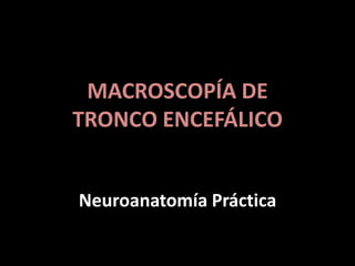 MACROSCOPÍA DE
TRONCO ENCEFÁLICO
Neuroanatomía Práctica

 