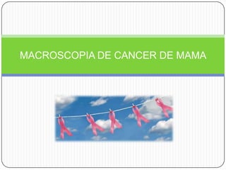MACROSCOPIA DE CANCER DE MAMA
 