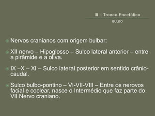 BULBO




   Nervos cranianos com origem bulbar:
   XII nervo – Hipoglosso – Sulco lateral anterior – entre
    a pirâmide e a oliva.
   IX –X – XI – Sulco lateral posterior em sentido crânio-
    caudal.
   Sulco bulbo-pontino – VI-VII-VIII – Entre os nerovos
    facial e coclear, nasce o Intermédio que faz parte do
    VII Nervo craniano.
 