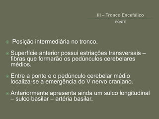 PONTE




   Posição intermediária no tronco.
   Superfície anterior possui estriações transversais –
    fibras que formarão os pedúnculos cerebelares
    médios.
   Entre a ponte e o pedúnculo cerebelar médio
    localiza-se a emergência do V nervo craniano.
   Anteriormente apresenta ainda um sulco longitudinal
    – sulco basilar – artéria basilar.
 