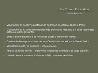 IV VENTRÍCULO




   Maior parte do contorno posterior do do tronco encefálico. Bulbo e Ponte.
   O assoalho do IV ventrículo é percorrido pelo sulco mediano e a cada lado deste
    estão os sulcos limitantes.
   Entre o sulco mediano e os limitantes existe a eminência medial.
   O sulco limitante possui duas depressões – fóvea superior e a fóvea inferior.
   Medialmente à fóvea superior – colículo facial.
   Abaixo da fóvea inferior – trígono do hipoglosso (medial) e do vago (lateral).
   Lateralmente aos sulcos limitantes existe uma área vestibular.
 