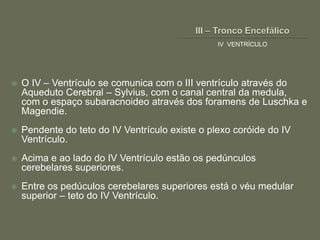 IV VENTRÍCULO




   O IV – Ventrículo se comunica com o III ventrículo através do
    Aqueduto Cerebral – Sylvius, com o canal central da medula,
    com o espaço subaracnoideo através dos foramens de Luschka e
    Magendie.
   Pendente do teto do IV Ventrículo existe o plexo coróide do IV
    Ventrículo.
   Acima e ao lado do IV Ventrículo estão os pedúnculos
    cerebelares superiores.
   Entre os pedúculos cerebelares superiores está o véu medular
    superior – teto do IV Ventrículo.
 