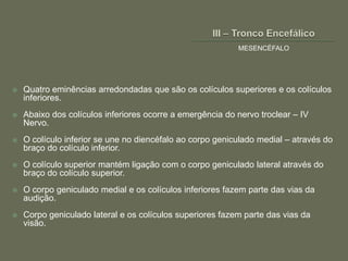 MESENCÉFALO




   Quatro eminências arredondadas que são os colículos superiores e os colículos
    inferiores.
   Abaixo dos colículos inferiores ocorre a emergência do nervo troclear – IV
    Nervo.
   O colículo inferior se une no diencéfalo ao corpo geniculado medial – através do
    braço do colículo inferior.
   O colículo superior mantém ligação com o corpo geniculado lateral através do
    braço do colículo superior.
   O corpo geniculado medial e os colículos inferiores fazem parte das vias da
    audição.
   Corpo geniculado lateral e os colículos superiores fazem parte das vias da
    visão.
 