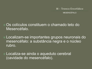 MESENCÉFALO




 Os
   colículos constituem o chamado teto do
 Mesencéfalo.

 Localizam-seimportantes grupos neuronais do
 mesencéfalo: a substância negra e o núcleo
 rubro.

 Localiza-se
            ainda o aqueduto cerebral
 (cavidade do mesencéfalo).
 