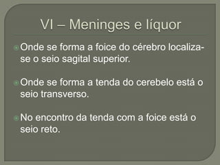  Onde se forma a foice do cérebro localiza-
 se o seio sagital superior.

 Onde  se forma a tenda do cerebelo está o
 seio transverso.

 Noencontro da tenda com a foice está o
 seio reto.
 