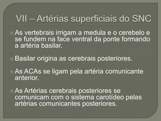  Asvertebrais irrigam a medula e o cerebelo e
 se fundem na face ventral da ponte formando
 a artéria basilar.
 Basilar   origina as cerebrais posteriores.
 AsACAs se ligam pela artéria comunicante
 anterior.
 AsArtérias cerebrais posteriores se
 comunicam com o sistema carotídeo pelas
 artérias comunicantes posteriores.
 