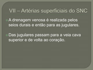 A drenagem venosa é realizada pelos
 seios durais e então para as jugulares.

 Dasjugulares passam para a veia cava
 superior e de volta ao coração.
 