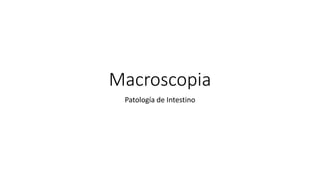Macroscopia
Patología de Intestino
 
