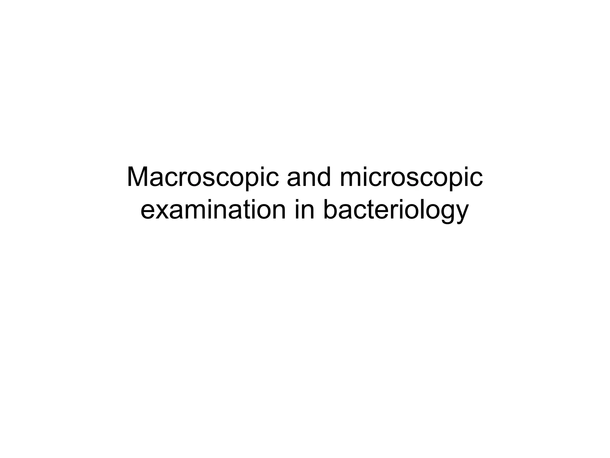 Macroscopic and microscopic examination in bacteriology PPT