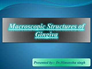Presented by:- Dr.Himanshu singh
Macroscopic Structures of
Gingiva
 