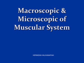 Macroscopic &Macroscopic &
Microscopic ofMicroscopic of
Muscular SystemMuscular System
HERMIZAN HALIHANAFIAH
 