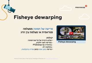 ‫תמונה‬ ‫של‬ ‫פרישה‬‫ממצלמה‬
‫הדג‬ ‫עין‬ ‫מצלמת‬ ‫או‬ ‫פנוראמית‬
‫יכולות‬:
•‫תמונה‬ ‫פרישת‬ ‫של‬ ‫ורסיות‬ ‫שלוש‬:
-‫חלקים‬ ‫לשני‬ ‫כפריסה‬.
-‫מצלמת‬ ‫של‬ ‫בהדמייה‬PTZ
-‫ל‬ ‫בחלוקה‬4.
•‫פריסה‬‫אמת‬ ‫בזמן‬‫ובזמן‬‫בהקלטות‬ ‫צפייה‬.
Fisheye dewarping
find out more about Macroscop Intelligent Modules on macroscop.com/en/
Fisheye dewarping
 