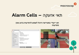 Alarm Cells – ‫אזעקה‬ ‫תאי‬
‫שהן‬ ‫ברגע‬ ‫להתרעות‬ ‫לשמש‬ ‫היכול‬ ‫במטריצה‬ ‫ייעודי‬ ‫תא‬
‫מופיעות‬
 