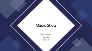 Karla Contreras
Fall 2020
VCM 145
Macro Shots
 