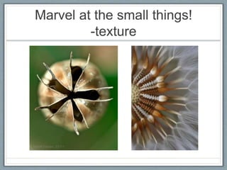 Marvel at the small things!
-texture
 
