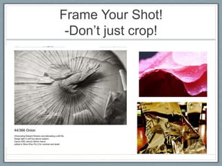 Frame Your Shot!
-Don’t just crop!
 