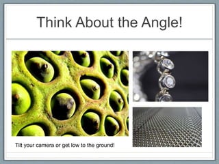 Think About the Angle!
Tilt your camera or get low to the ground!
 