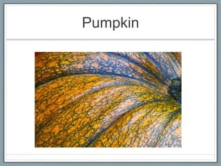 Pumpkin
 