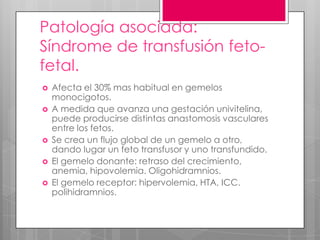 Patología asociada:
Síndrome de transfusión feto-
fetal.
 Afecta el 30% mas habitual en gemelos
monocigotos.
 A medida que avanza una gestación univitelina,
puede producirse distintas anastomosis vasculares
entre los fetos.
 Se crea un flujo global de un gemelo a otro,
dando lugar un feto transfusor y uno transfundido.
 El gemelo donante: retraso del crecimiento,
anemia, hipovolemia. Oligohidramnios.
 El gemelo receptor: hipervolemia, HTA, ICC.
polihidramnios.
 