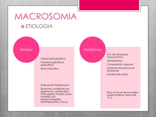 MACROSOMIA
 ETIOLOGIA
Capacidad genética
Trastornos genéticos
específicos
Sexo masculino
Sx Beckwith Wiedemann:
Síndrome constituido por
gigantismo, onfalocele y
macroglosia. Puede cursar
también con
esplacnomegalia,
hemihipertrofia y nevus.
fetales
Ant. De embarazo
macrosomico
Metabolismo
Composición corporal
Aumento de peso en el
embarazo
Numero de partos
Peso al nacer de la madre,
edad materna menor de
17 a.
maternos
 